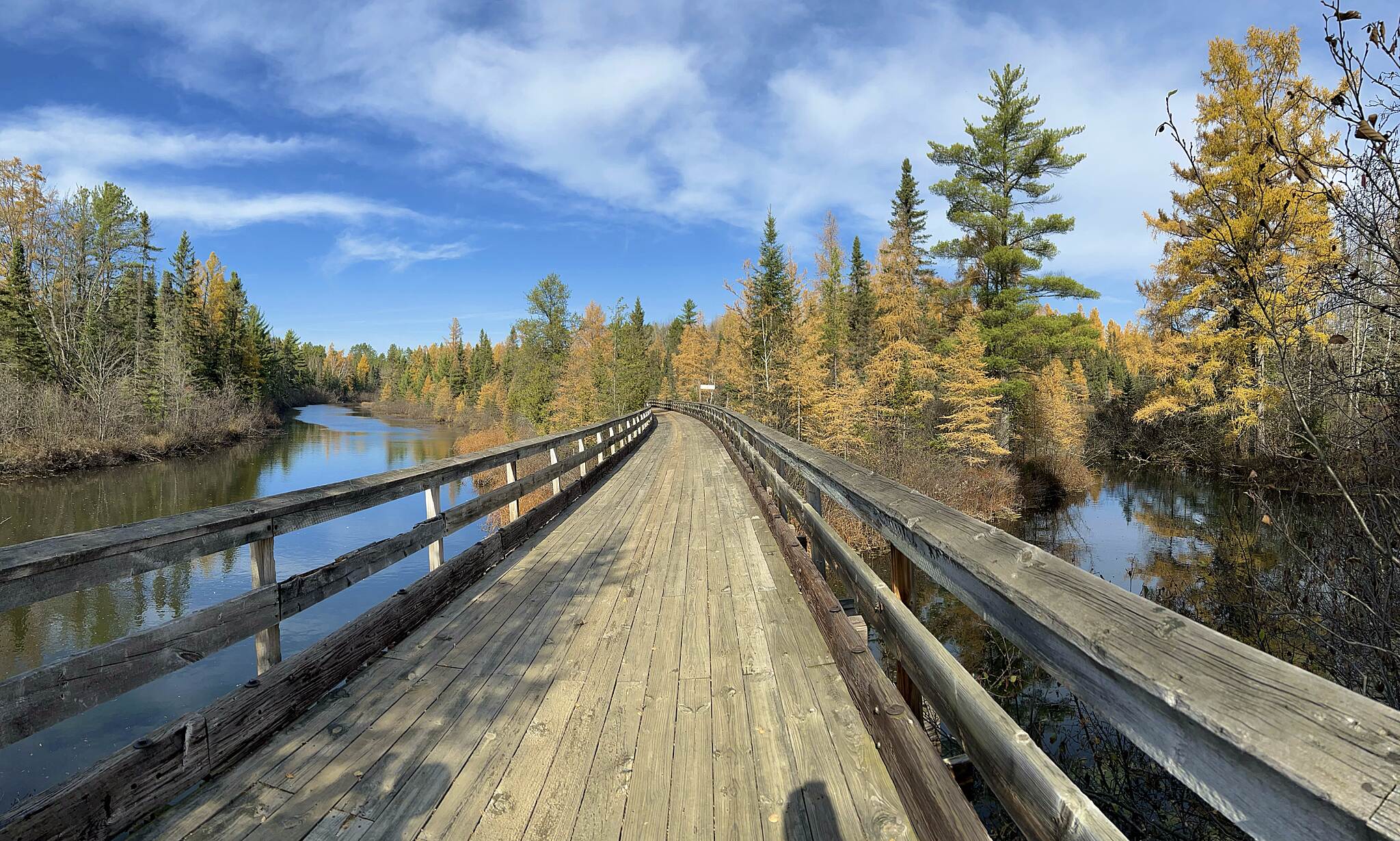 A wooden trestle bridge on the Bearskin State Trail crossing open water, framed by golden tamaracks under a blue autumn sky