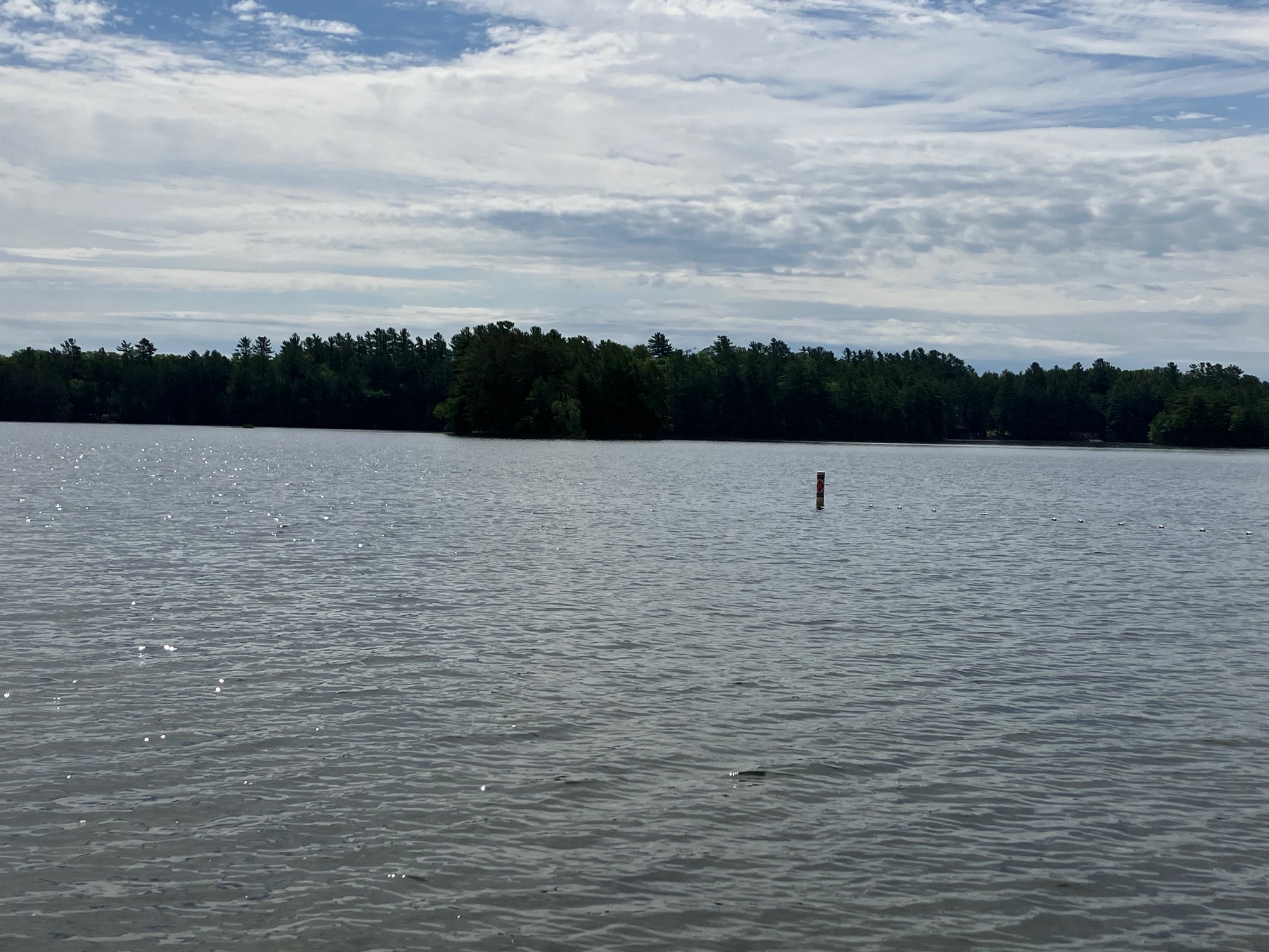Calm open water on a wide Northwoods lake, ideal for pontoons and paddling