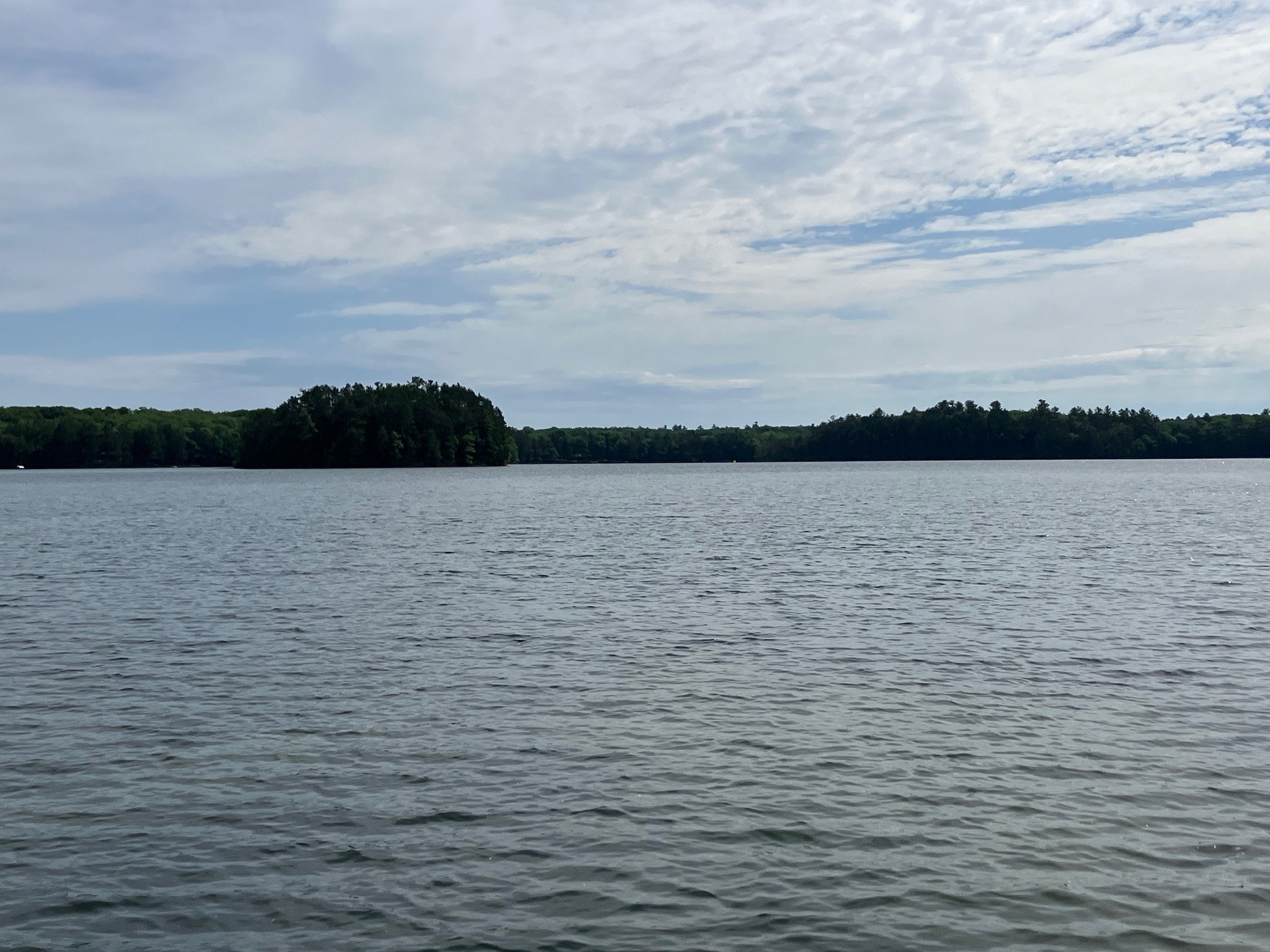 A wild Northwoods lakeshore framed by tall pines