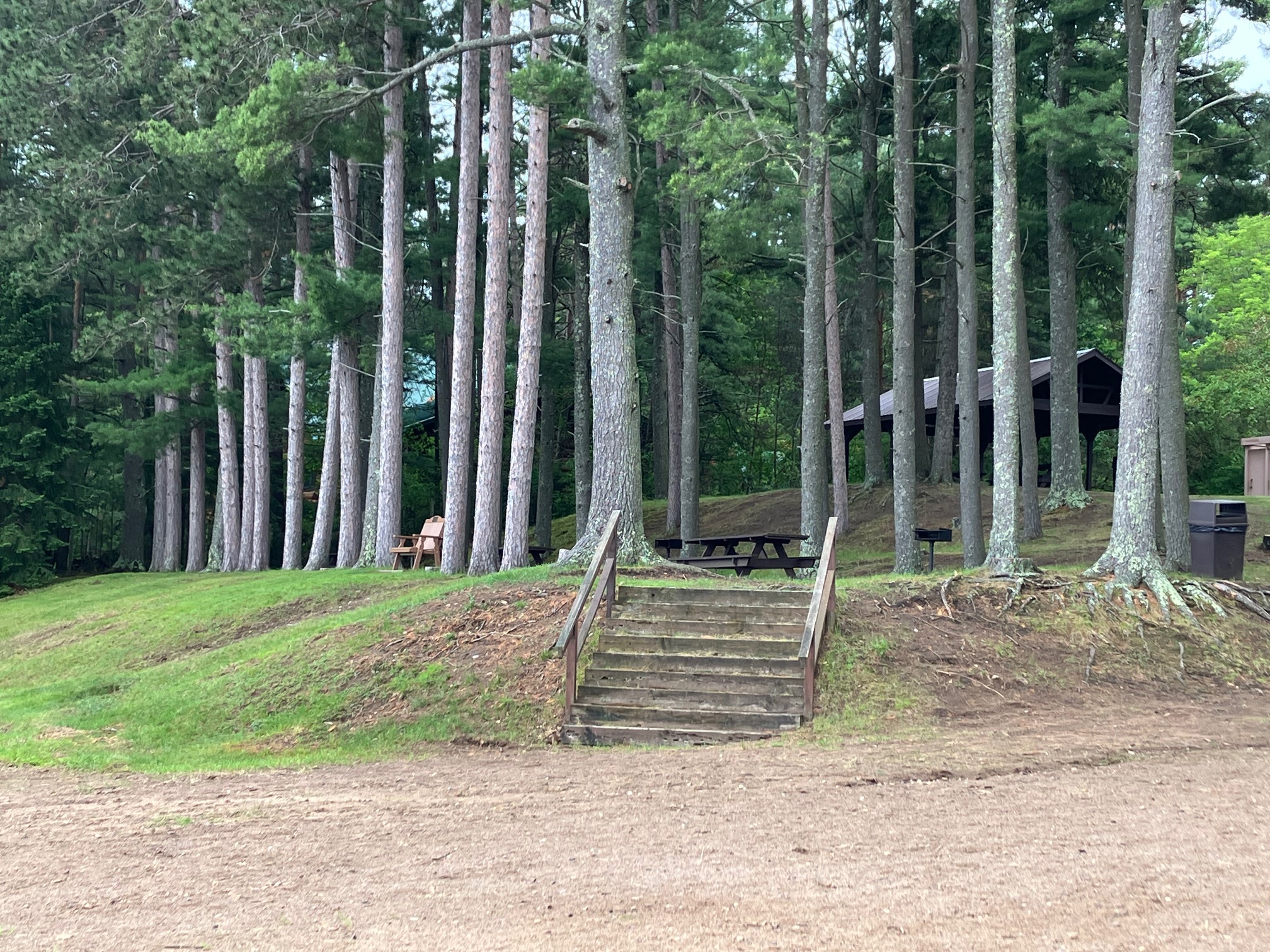 Wooden stairs leading through tall pines toward a park pavilion and picnic table